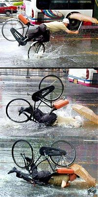 Pictures of the Day: 