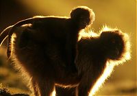 Pictures of the Day: 