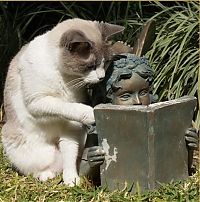Pictures of the Day: 