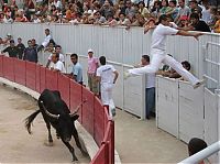 Pictures of the Day: 