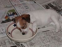 Pictures of the Day: 