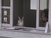 Pictures of the Day: 