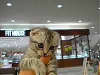 Pictures of the Day: 