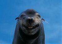 Pictures of the Day: 