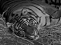 Pictures of the Day: 