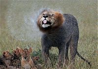 Pictures of the Day: 