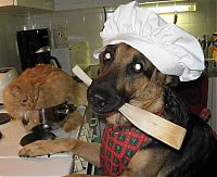 Pictures of the Day: 