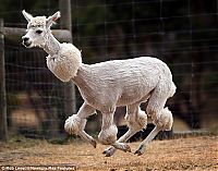 Pictures of the Day: 