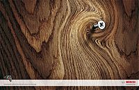 Pictures of the Day: 