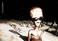 Pictures of the Day: 