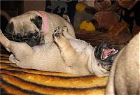 Pictures of the Day: 