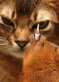 Pictures of the Day: 