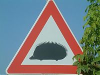 Pictures of the Day: 