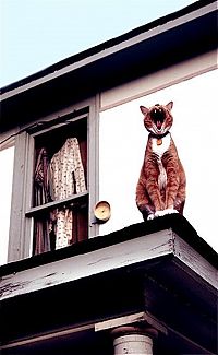 Pictures of the Day: 