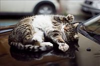 Pictures of the Day: 