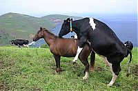 Pictures of the Day: 