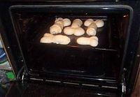 Pictures of the Day: 