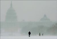 Pictures of the Day: 