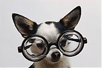 TopRq.com search results: 