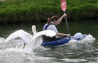 Pictures of the Day: 