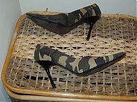 Pictures of the Day: 