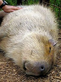 Pictures of the Day: 