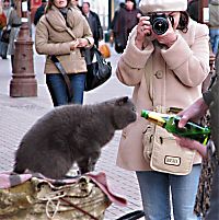 Pictures of the Day: 