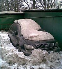 Pictures of the Day: 