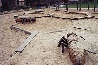 Pictures of the Day: 