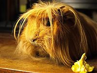 Pictures of the Day: 