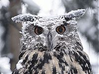 Pictures of the Day: 