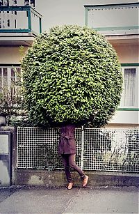 Pictures of the Day: 