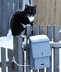 Pictures of the Day: 