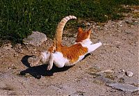 Pictures of the Day: 