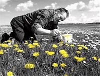 Pictures of the Day: 