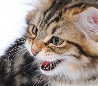 Pictures of the Day: 