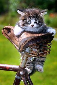 Pictures of the Day: 