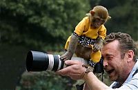 Pictures of the Day: 