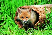 Pictures of the Day: 