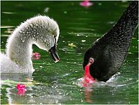 Pictures of the Day: 