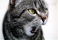 Pictures of the Day: 