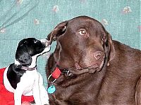 Pictures of the Day: 