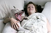 Pictures of the Day: 