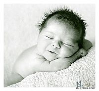 Pictures of the Day: 