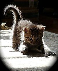 Pictures of the Day: 