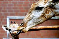 Pictures of the Day: 