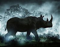 Pictures of the Day: 