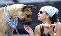 Pictures of the Day: 