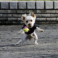 Pictures of the Day: 