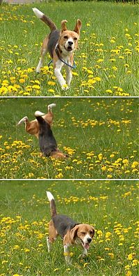 Pictures of the Day: 